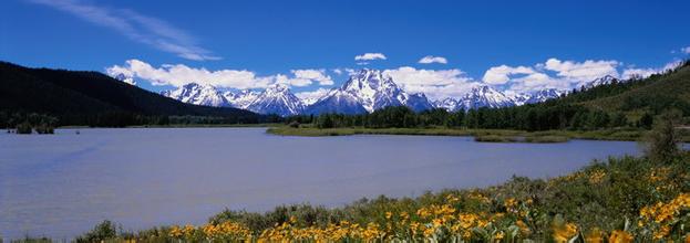 FDA修訂豬飼料中酸化劑甲酸的使用規(guī)例