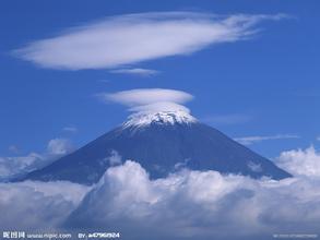  玉米蛋白粉的飼用價值及鑒別