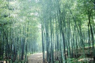 《沙盤推演》第一場特別報道