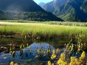 10月10日微量元素價格行情