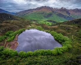  飼料中有害生物對飼料的危害及防治方法