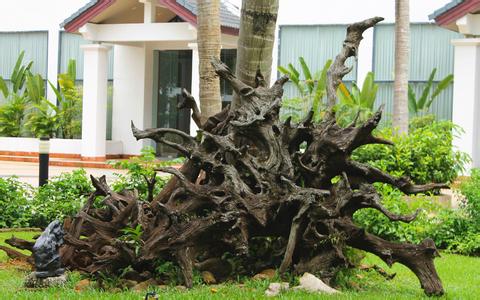 玉米價格繼續穩！局地豆粕跌至3000元/噸以下！