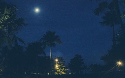 早期斷奶仔豬腹瀉的原因及營養調控措施