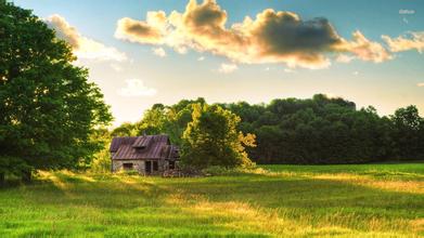 請教:育肥豬現在老是咬架怎么回事?