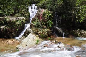  飼喂微貯料品質要保證