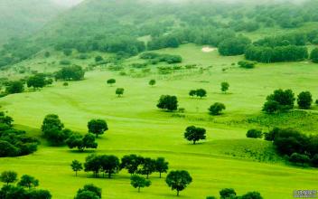 歐盟擬批準進口動物飼料含少量轉(zhuǎn)基因作物痕跡