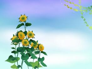 我國(guó)豬常見呼吸道疾病的防治對(duì)策