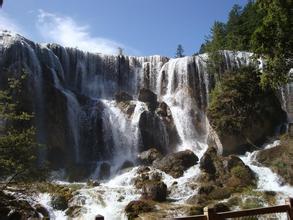 農業部關于穩定當前生豬生產的技術指導意見