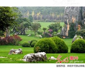 豬場夏季高熱綜合征候群的防治對策