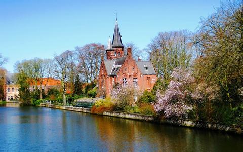 常見豬場頭孢菌素使用的3大誤區，你中招了嗎？