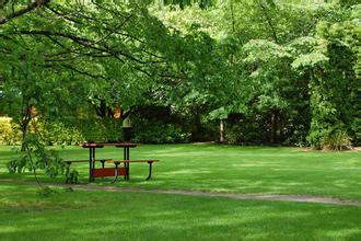 急性回腸炎死亡的肺臟圖片