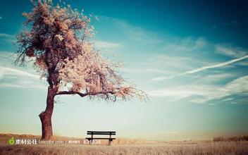 豬藍耳病腹瀉（一）