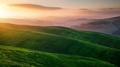 白色假絲酵母ATCC10231在孟加拉紅瓊脂的生長情況