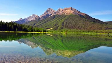 國務院審議通過《畜禽規模養殖污染防治條例（草案）》