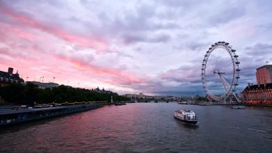 解救豬中毒13種中藥驗(yàn)方