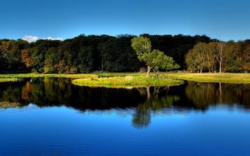 教槽料整體設計的新感悟