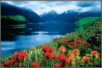 豬寄生蟲圖片（經典）