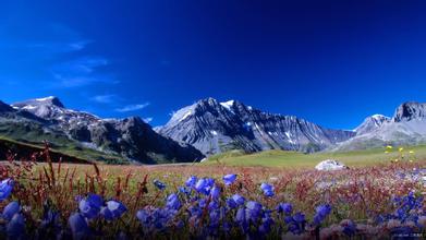 小豬高死亡率的原因及其對策