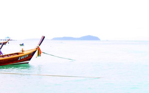  飼料中礦物質(zhì)鎂的檢測(cè)（四）