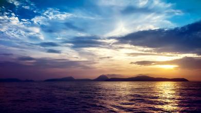 低聚木糖•微生態制劑對仔豬黃白痢發生率的降低作用