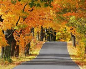 農業部發布2013年畜牧業主導品種和主推技術