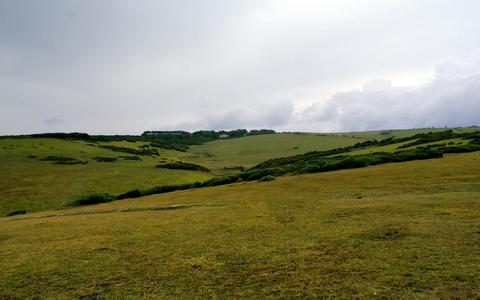 鐘南山談食品安全　稱出狠招讓食品造假傾家蕩產
