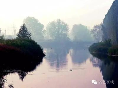 歐盟食品安全法概況及其最新改革動(dòng)向