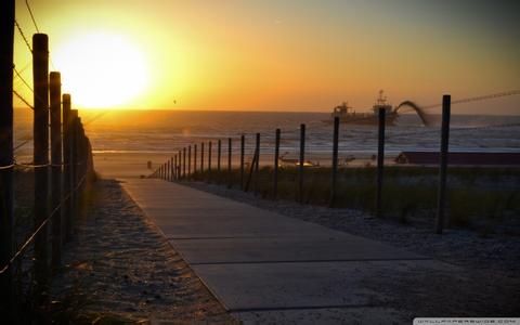 藍耳病病毒對豬生長性能、飼料利用率以及糞污氣體排放的影響