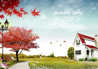 2013年9月29日國內(nèi)玉米報價