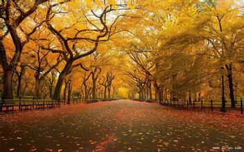 禽血療法治療豬氣喘病