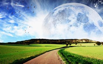 飼料廠品管怎么檢查啤酒糟質(zhì)量？