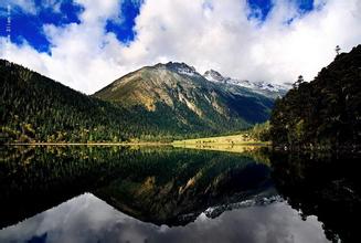FDA修訂針對動物飼料及飲用水的食品添加劑規(guī)例