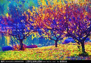 “灰天鵝”落戶四川廣安