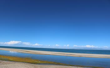 飼料霉敗中毒的癥狀及防治措施