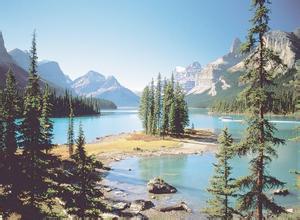 農業部開始部署2012年檢測原種豬場垂直傳播性疫病工作