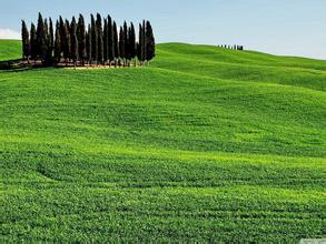 夏季豬病防治要點