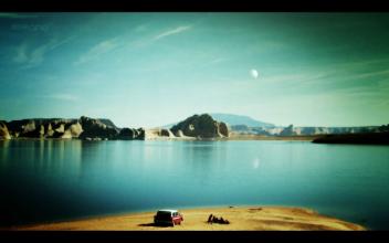 典型高熱病的豬肺展示