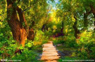 會議專題講座篇——王統石：配方方案的確定與實施程序--飼料產品設計的道路闡述