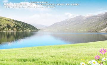 仔豬去勢小心鏈球菌感染疾病