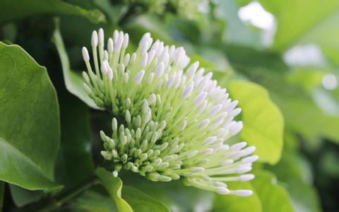 海能25-羥基維生素D3生產線投產儀式暨高活性維生素D3產業化高層論壇成功舉行