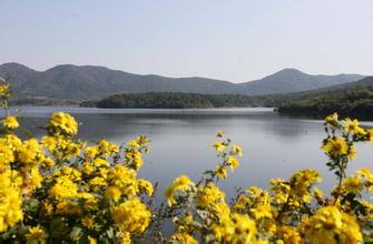 玉米質(zhì)量分析