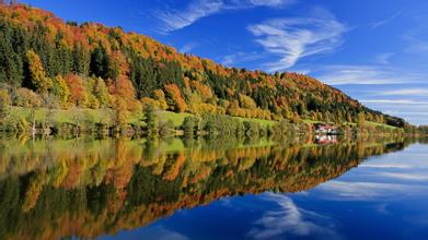 飼料標(biāo)簽標(biāo)準(zhǔn)（1999）