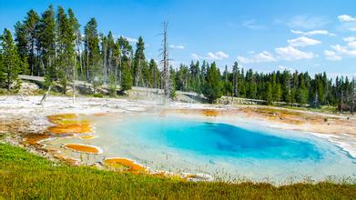 玉米霉變對養殖業危害及應對措施