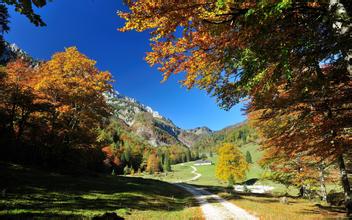 農業部發布全國遏制動物源細菌耐藥行動計劃（2017—2020年）