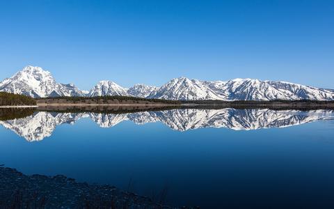 低聚木糖——翻開動物健康新紀元