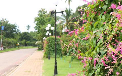 農業農村部公布涉及畜牧獸醫領域的規范性文件目錄